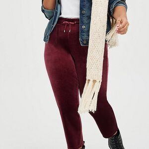 Torrid Tapered Pull On Pant - Stretch Velvet Wine 2X